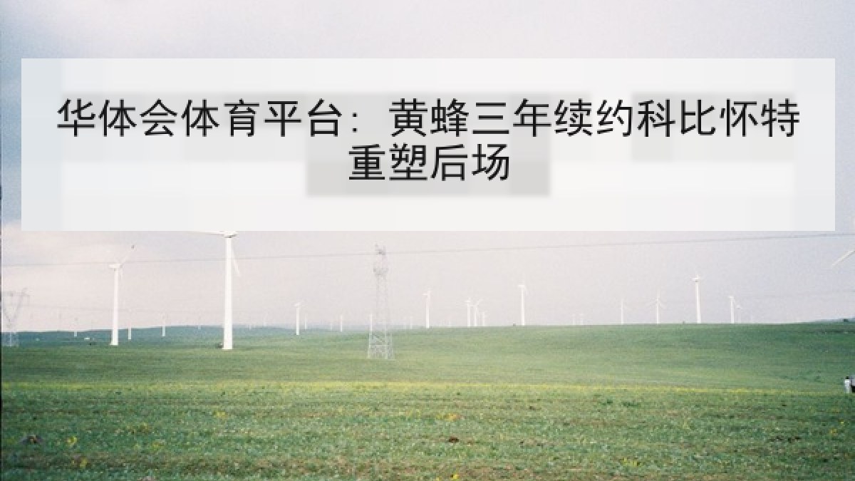华体会体育平台: 黄蜂三年续约科比怀特重塑后场