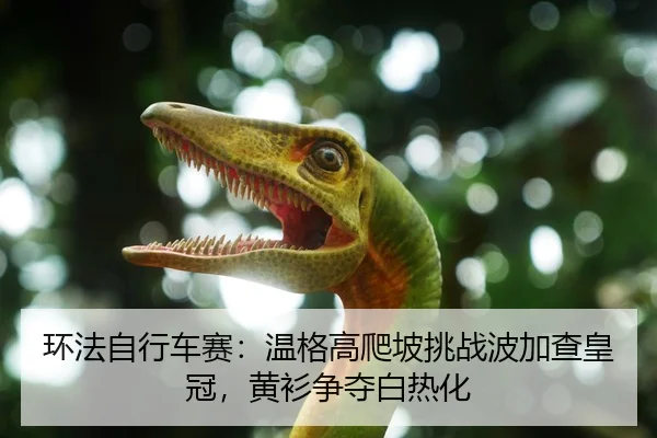环法自行车赛：温格高爬坡挑战波加查皇冠，黄衫争夺白热化
